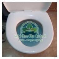 Những nguyên nhân nào khiến cho bồn cầu bị nghẹt