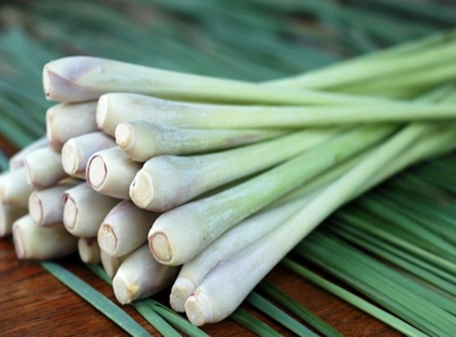 Giữ cho nhà vệ sinh của bạn được thơm bằng sả cây