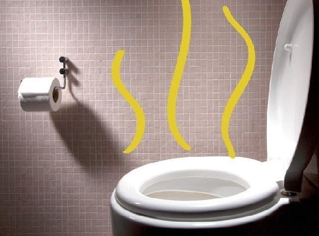 Nếu bỏ qua việc bảo trì thường xuyên bồn cầu có thể bị nghẹt hơi