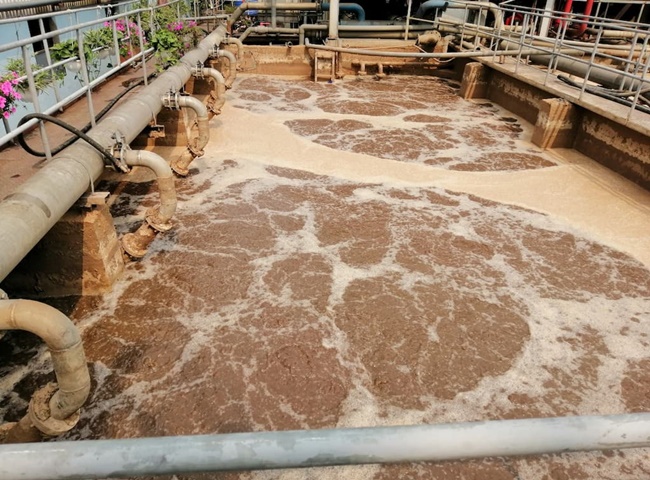 Công ty cung cấp bùn vi sinh quận 8 có nhiều ưu điểm nổi trội