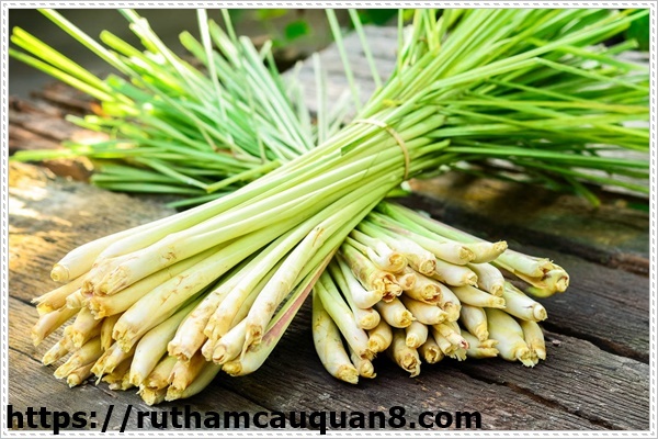 Nh&agrave; vệ sinh bị bốc m&ugrave;i l&agrave; chuyện kh&ocirc;ng của ri&ecirc;ng ai. Tuy nhi&ecirc;n, khi đối mặt với t&igrave;nh trạng n&agrave;y, người ta sẽ c&oacute; những lựa chọn kh&aacute;c nhau. Thay v&igrave; sử dụng những sản phẩm h&oacute;a chất để khử m&ugrave;i toilet, c&aacute;c bạn vẫn c&oacute; thể sử dụng những sản phẩm đến từ tự nhi&ecirc;n. Sau đ&acirc;y, ch&uacute;ng t&ocirc;i sẽ hướng dẫn c&aacute;c bạn một số c&aacute;ch l&agrave;m thơm nh&agrave; vệ sinh m&agrave; kh&ocirc;ng cần sử dụng h&oacute;a chất với c&acirc;y xả