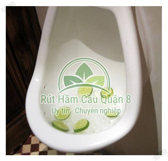 Bỏ nước đá vào khử mùi hôi và giúp toilet hết nghẹt