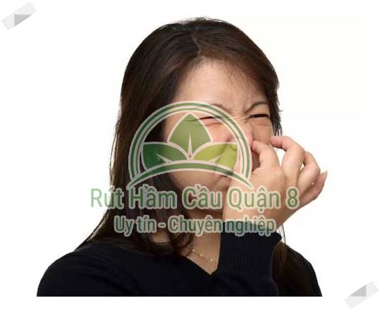 Nguyên nhân phổ biến khiến nước trong cống bị trào ngược
