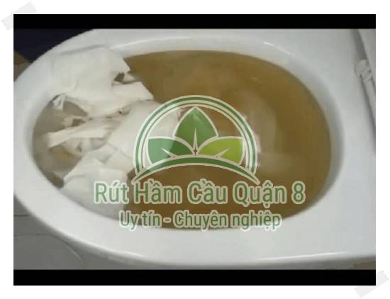 C&aacute;c nguy&ecirc;n nh&acirc;n ch&iacute;nh dẫn đến t&igrave;nh trạng bồn cầu bị nghẹt nước