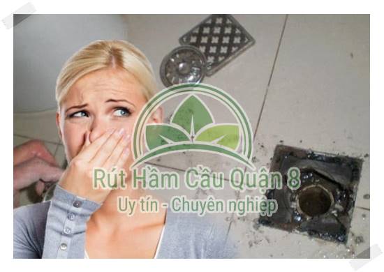 Nước cống bị trào ngược dễ ảnh hưởng sức khỏe trong nhà